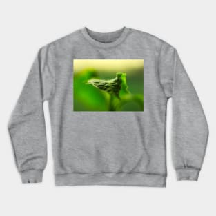 Green leaf Crewneck Sweatshirt